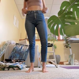 Joe’s Jeans The Charlie- Button Front High Rise Skinny Crop